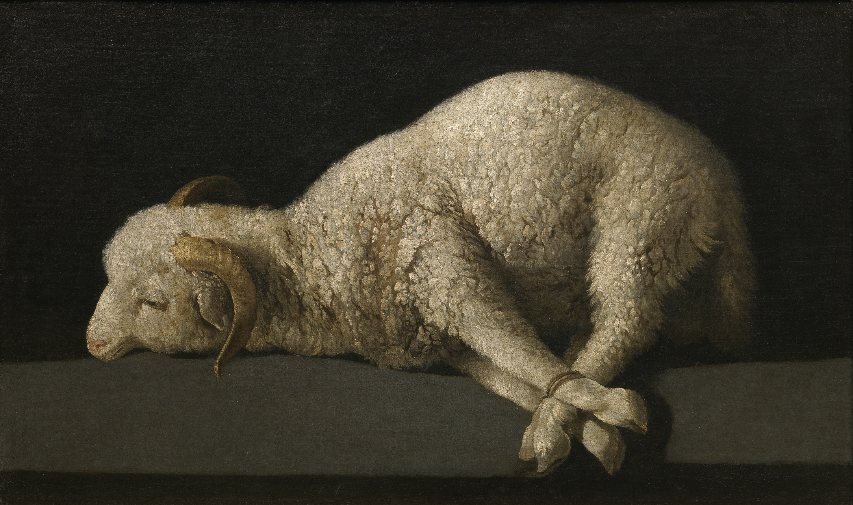 Blood Of The Lamb